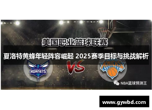 夏洛特黄蜂年轻阵容崛起 2025赛季目标与挑战解析
