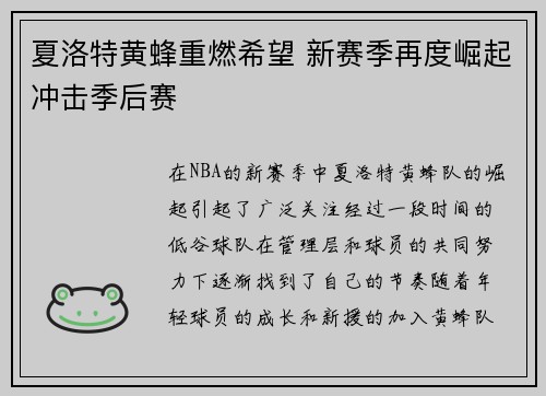 夏洛特黄蜂重燃希望 新赛季再度崛起冲击季后赛