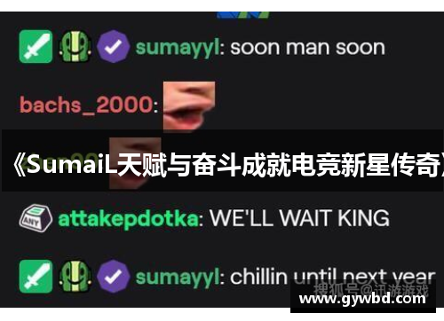 《SumaiL天赋与奋斗成就电竞新星传奇》